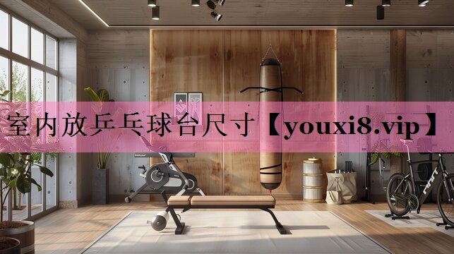 室内放乒乓球台尺寸